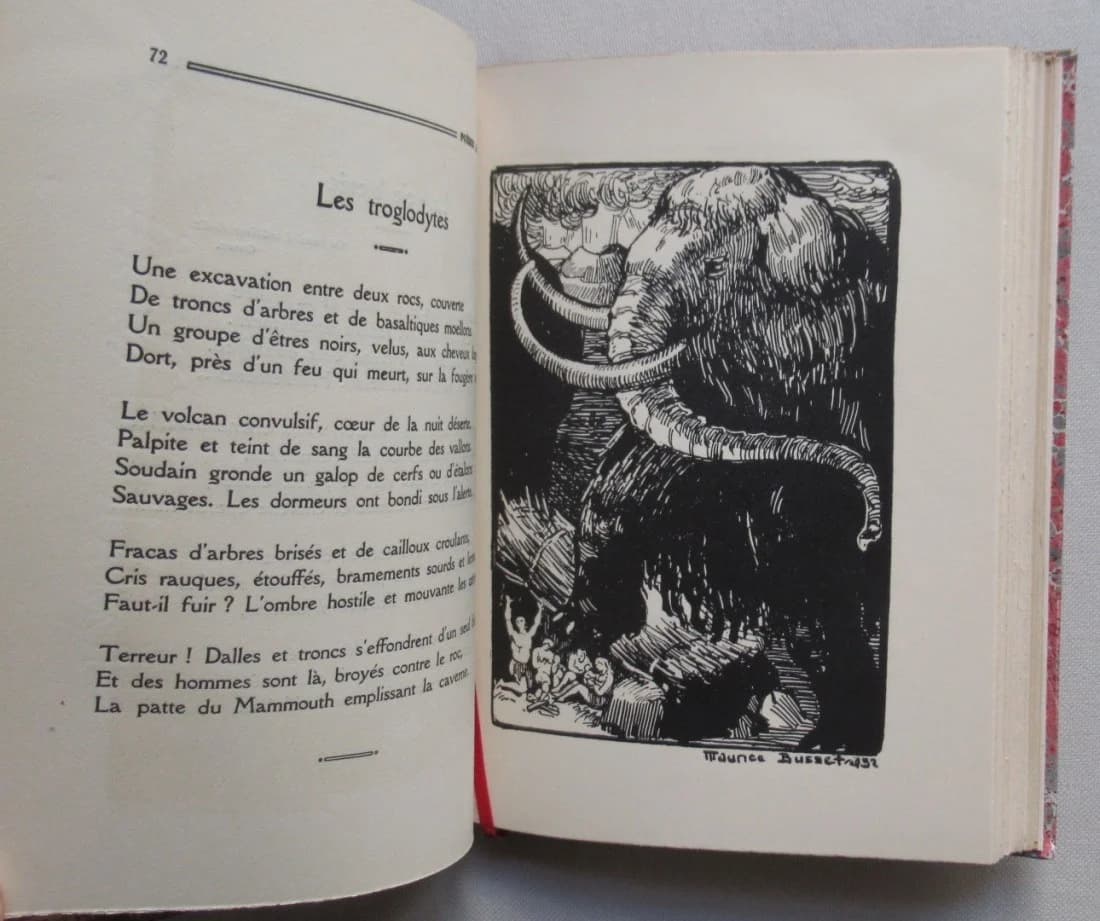 Poèmes d'Arvernes - 2 Tomes - Image 15