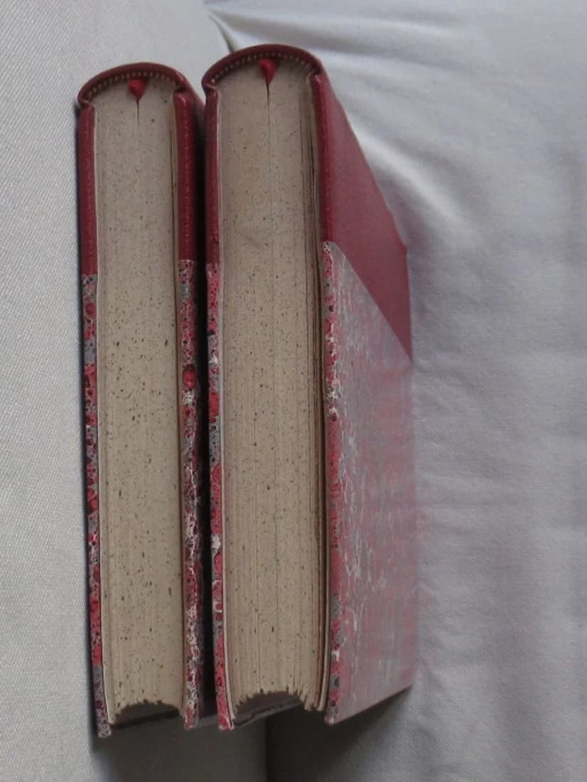 Poèmes d'Arvernes - 2 Tomes - Image 21