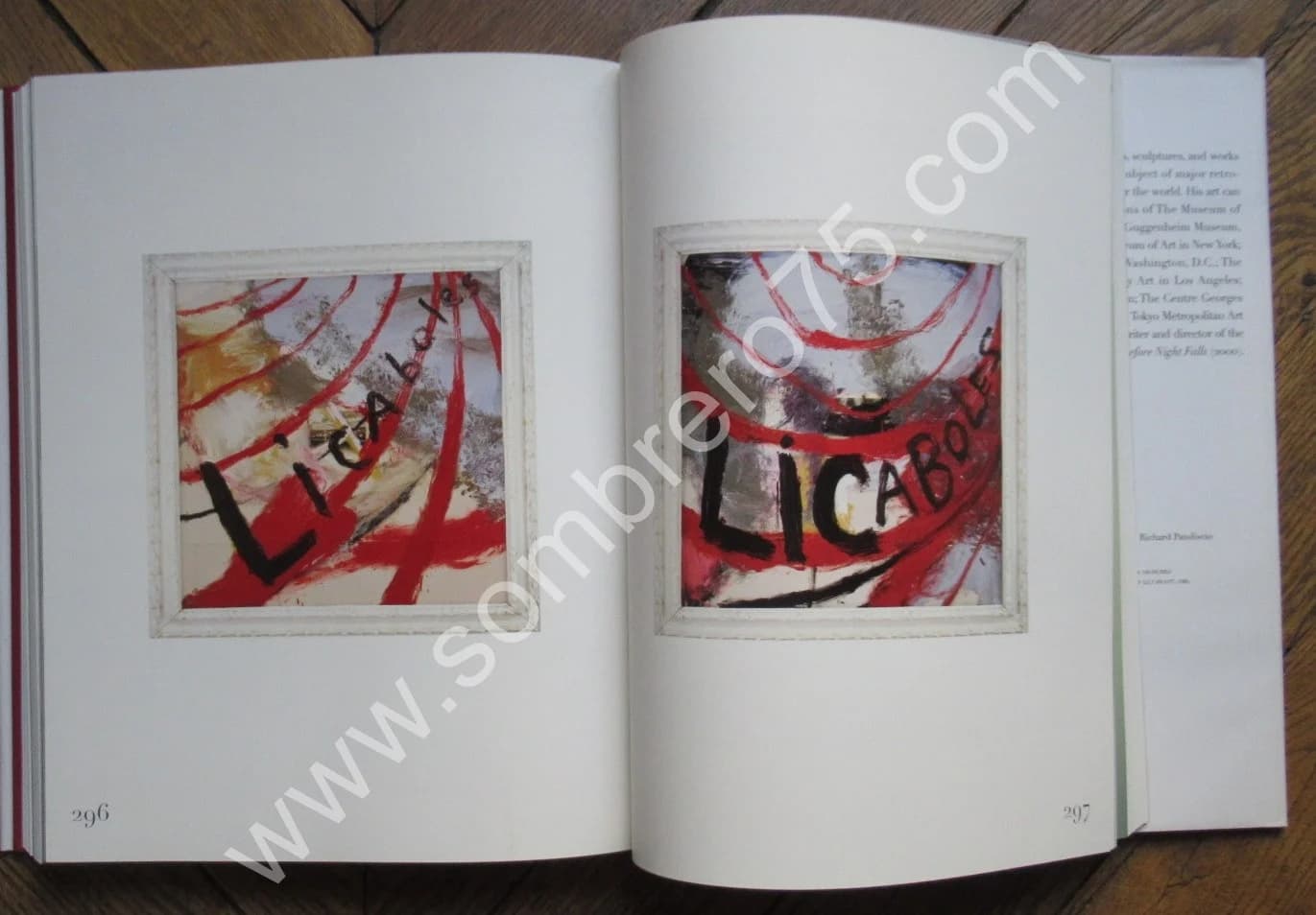 Monographie 2003 - Image 9