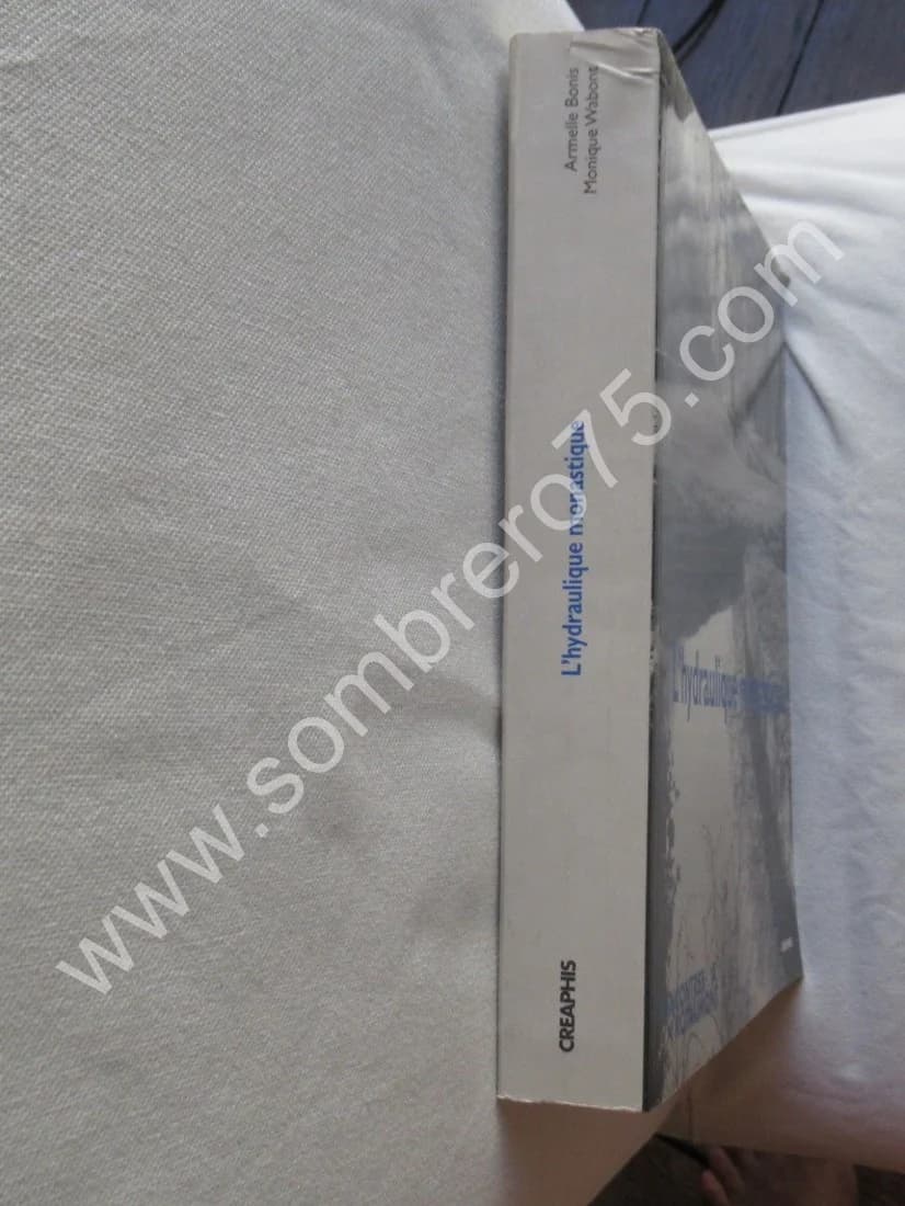 L'Hydraulique Monastique. Rencontres à Royaumont. 1996 - Image 2