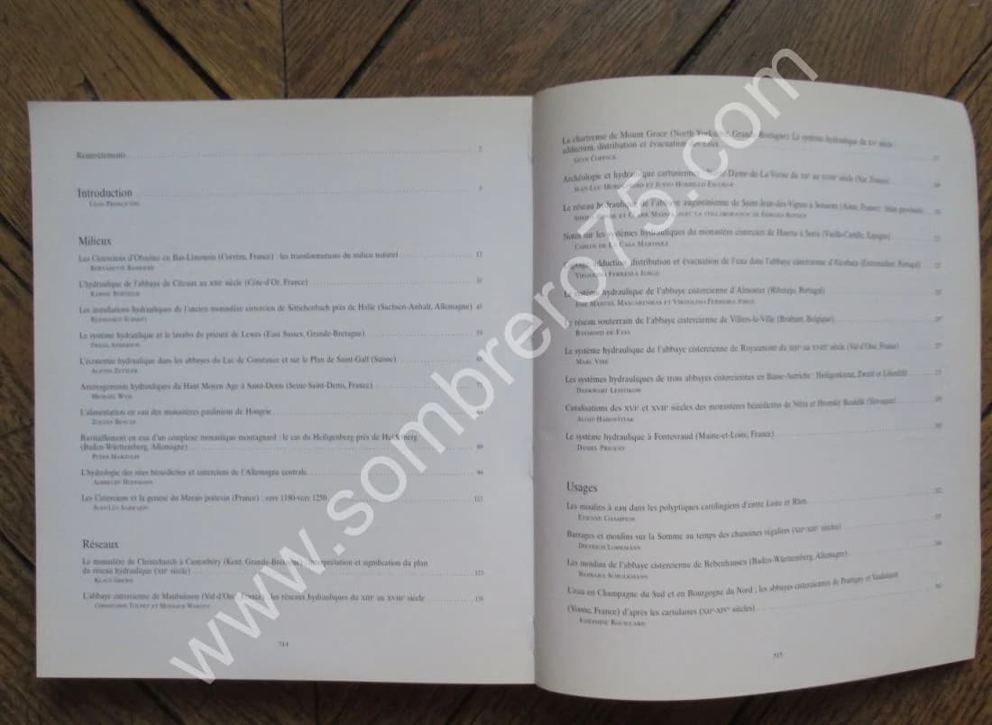 L'Hydraulique Monastique. Rencontres à Royaumont. 1996 - Image 9