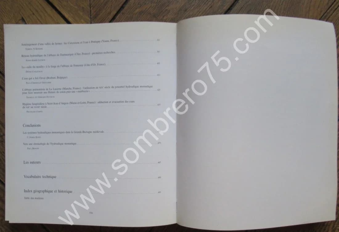 L'Hydraulique Monastique. Rencontres à Royaumont. 1996 - Image 10