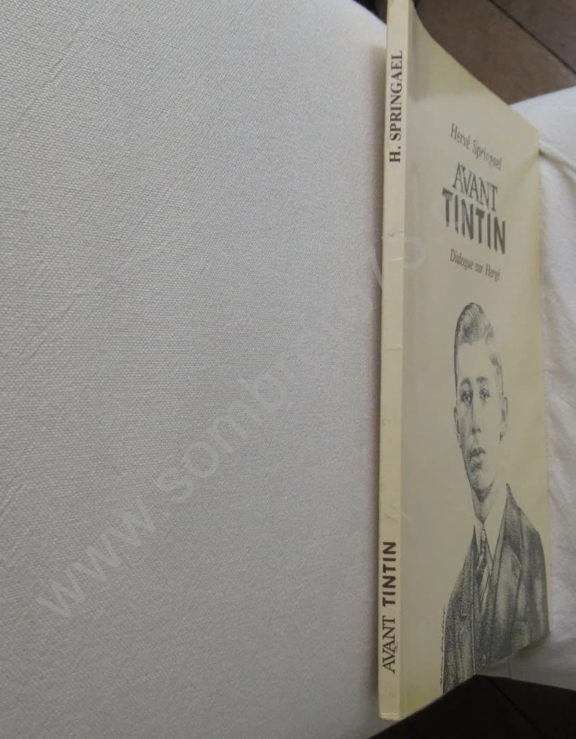 Avant Tintin - Dialogue sur Hergé.. Envoi. Ex Num - Image 3