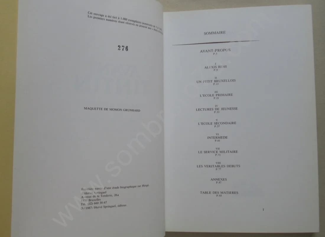 Avant Tintin - Dialogue sur Hergé.. Envoi. Ex Num - Image 5