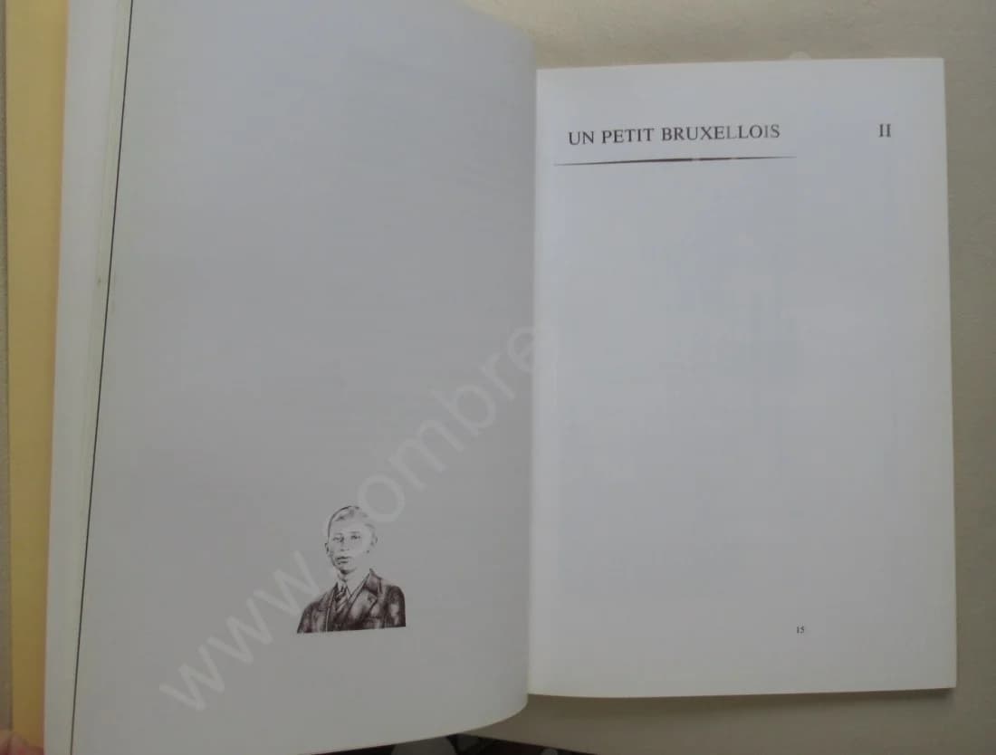 Avant Tintin - Dialogue sur Hergé.. Envoi. Ex Num - Image 6