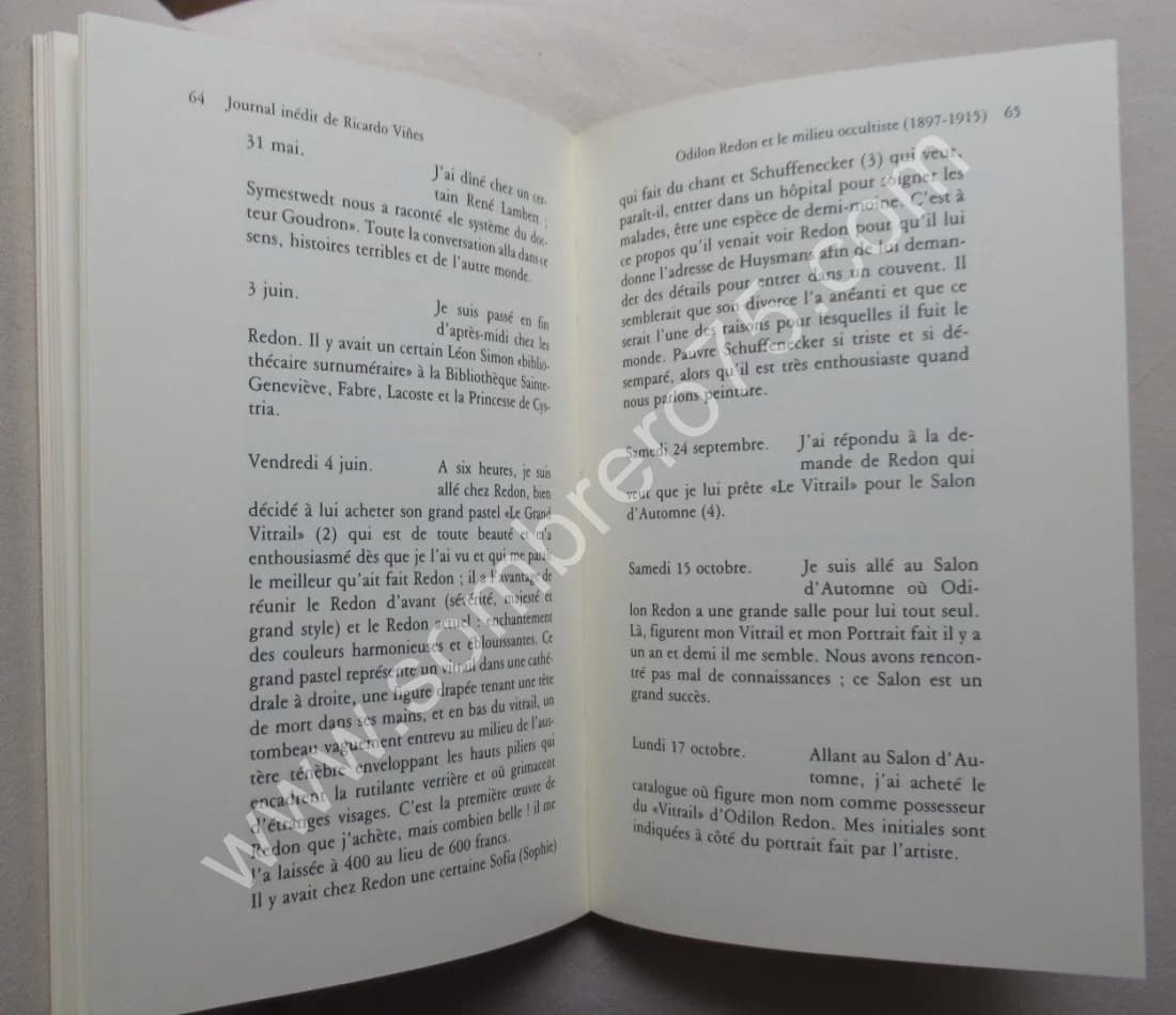 Journal Inédit de Ricardo Vines. Odilon Redon et le milieu occultiste - Image 7