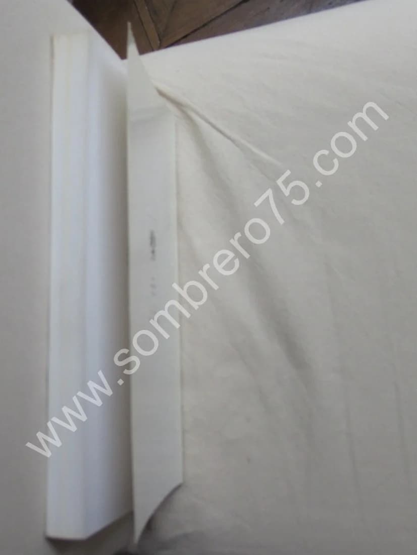 Le Poème de l'Âme par Janmot. Elisabeth HARDOUIN FUGIER - Image 7