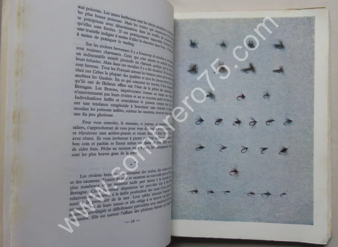 Pêche à la Mouche en Bretagne. P. PHELIPOT et JP PEQUEGNOT - Image 6