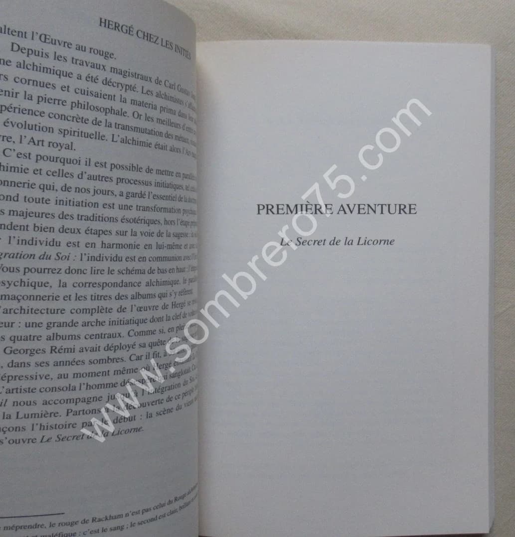 Hergé chez les Initiés - Image 4