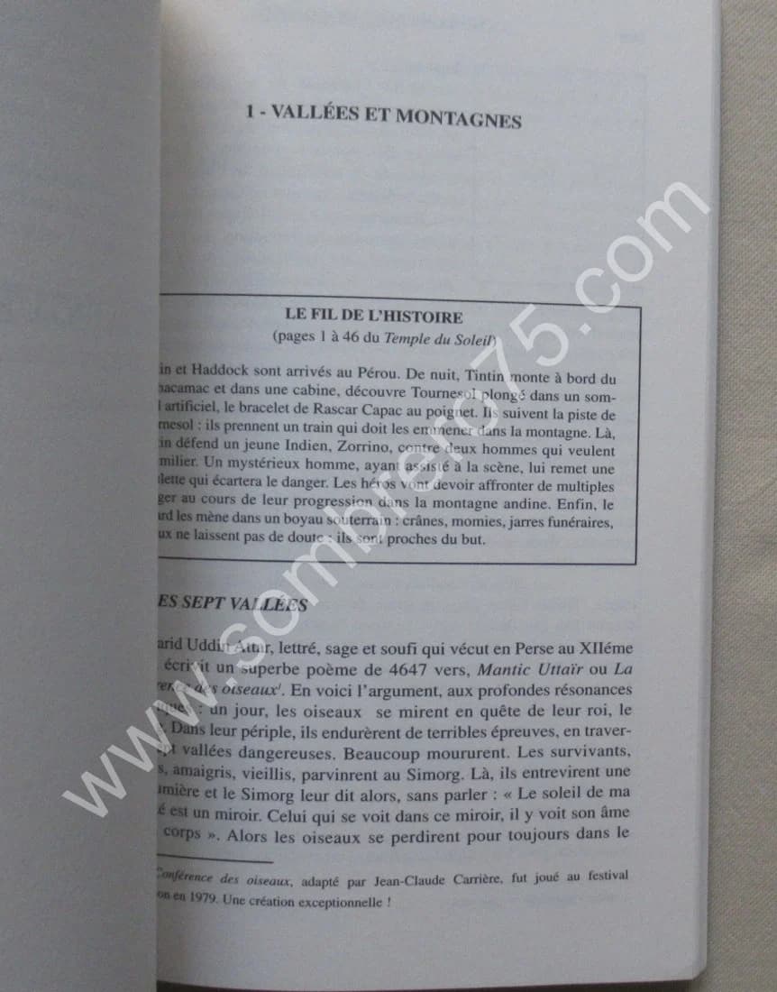 Hergé chez les Initiés - Image 5