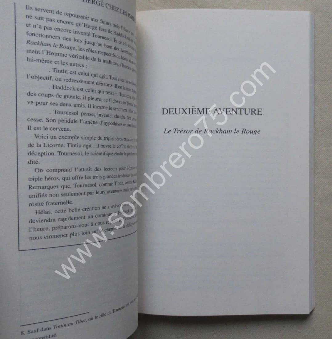 Hergé chez les Initiés - Image 6