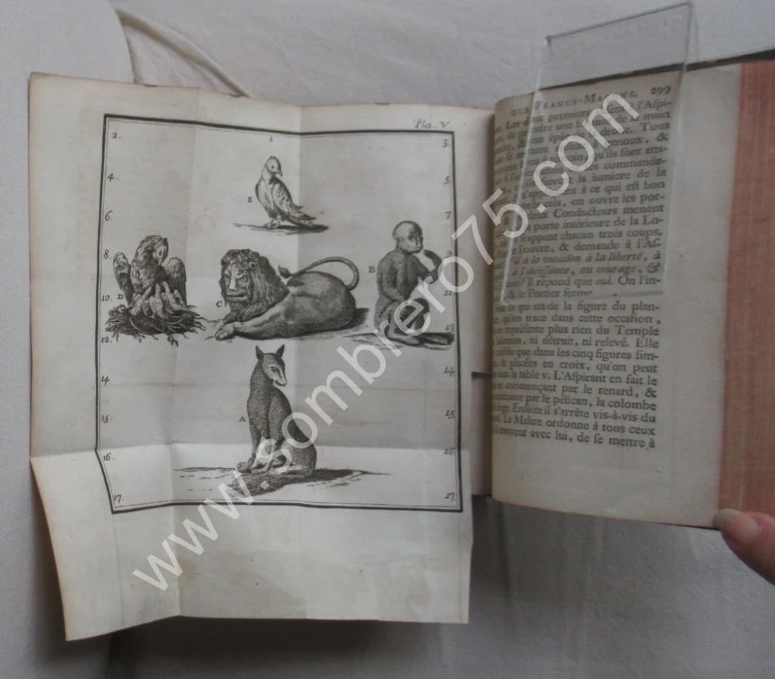 Les Francs Maçons écrasés - L'Ordre des Francs Maçons trahi - Image 4