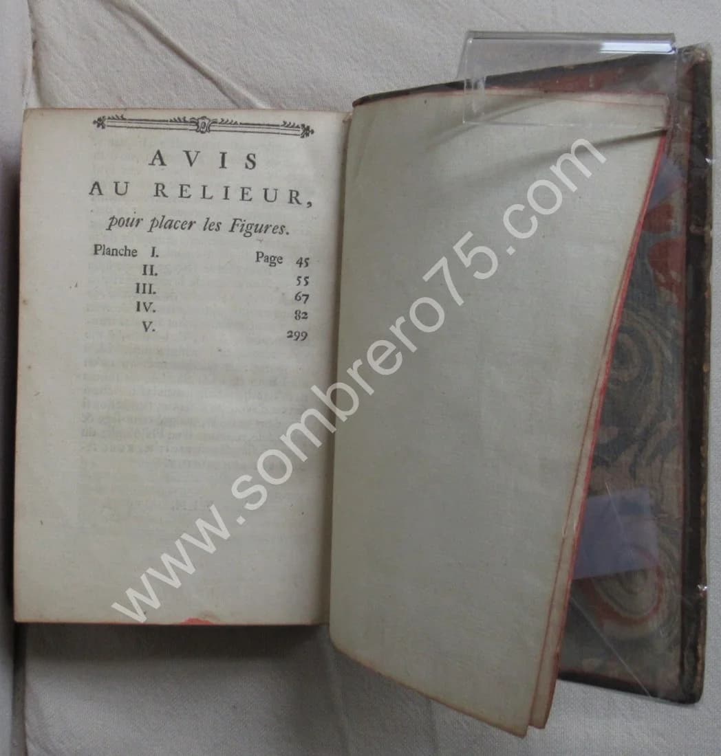 Les Francs Maçons écrasés - L'Ordre des Francs Maçons trahi - Image 7