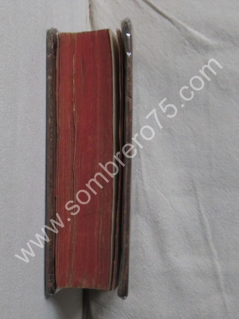 Les Francs Maçons écrasés - L'Ordre des Francs Maçons trahi - Image 8