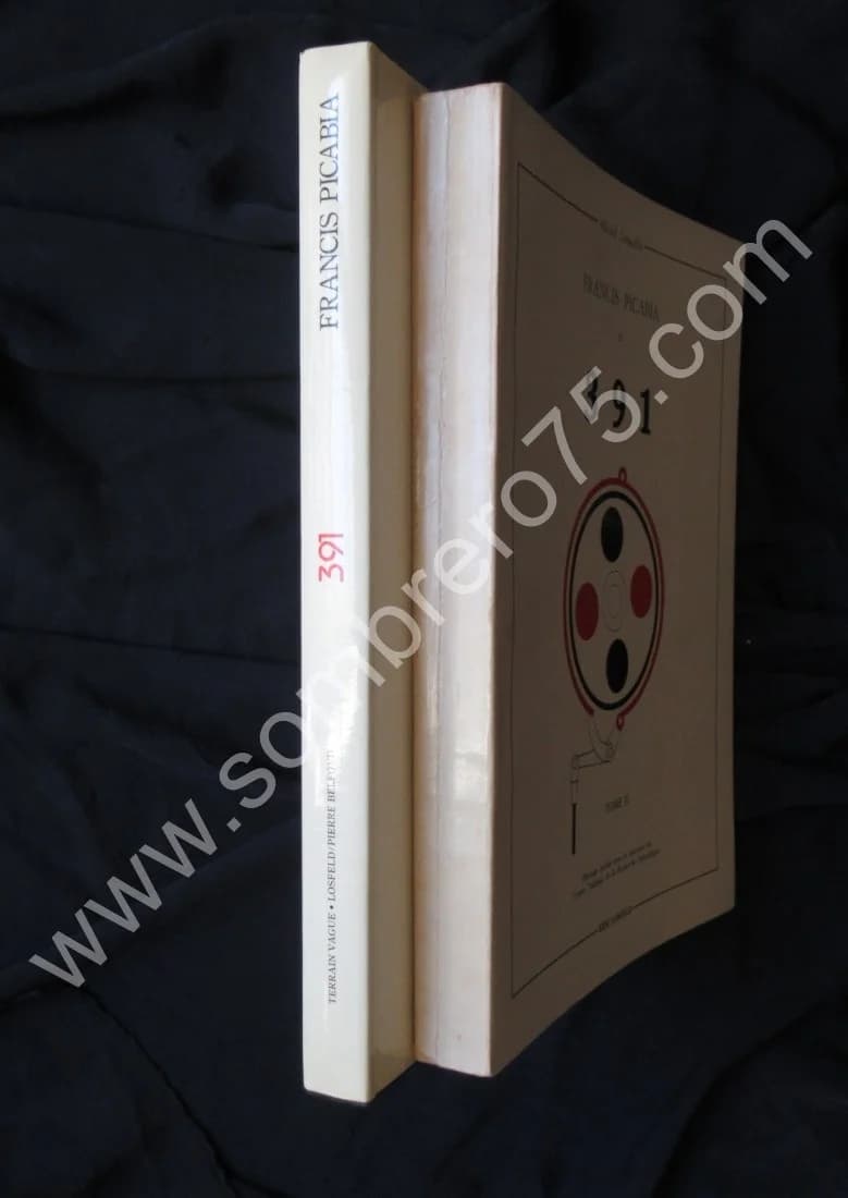 Francis Picabia 391 - 2 Tomes - Image 2