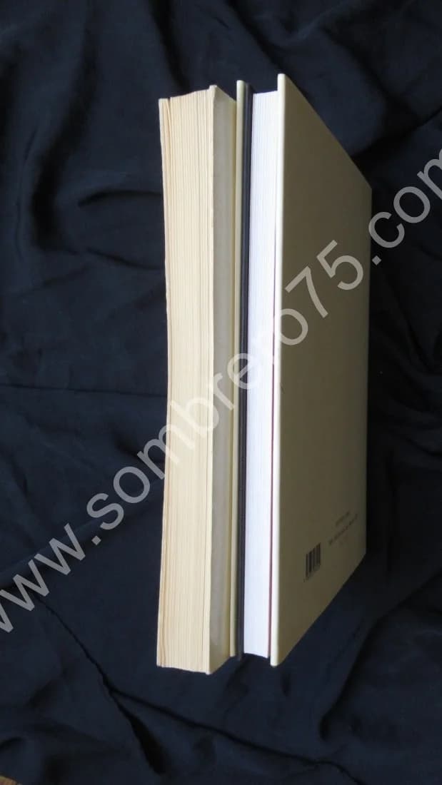 Francis Picabia 391 - 2 Tomes - Image 3