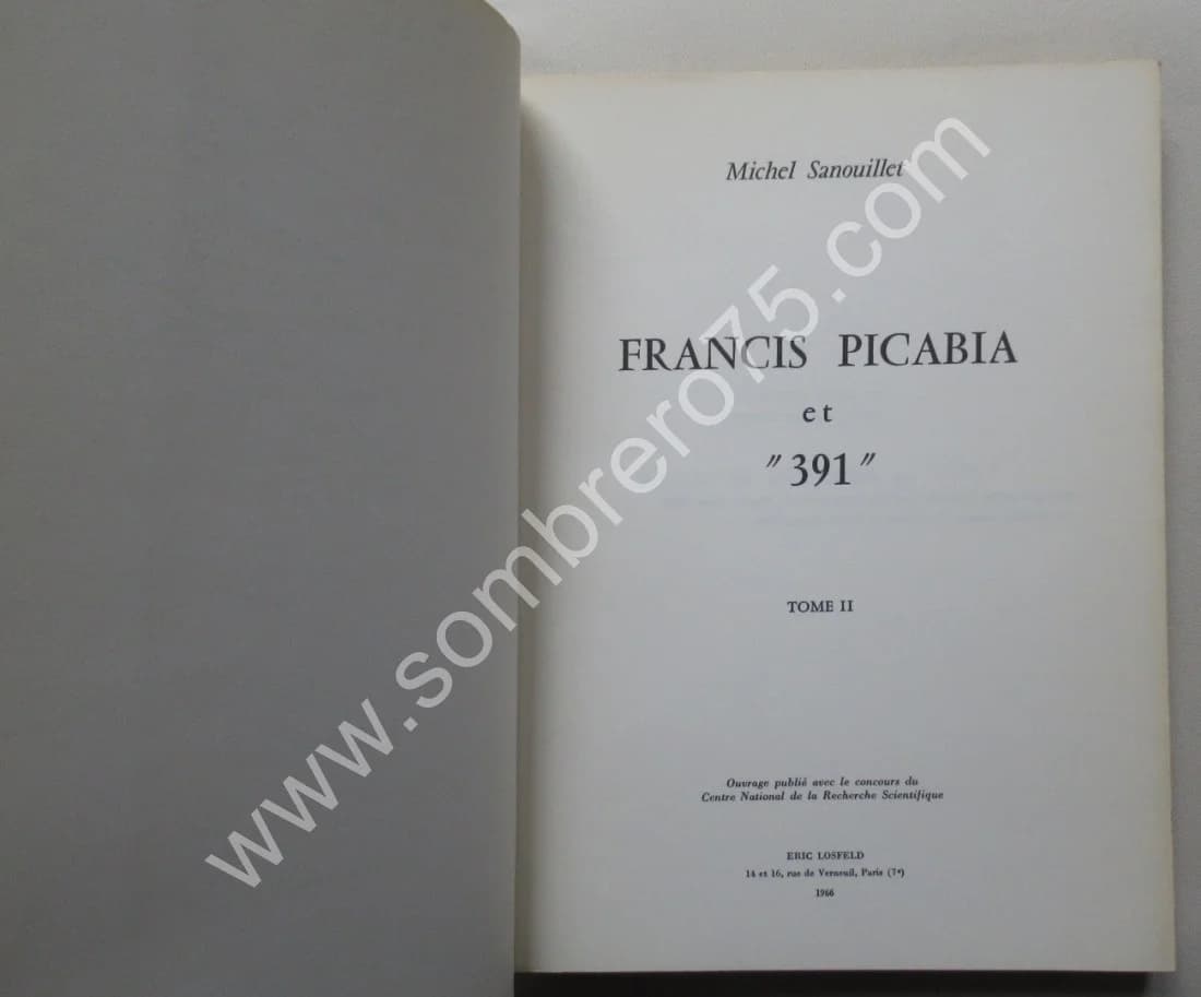 Francis Picabia 391 - 2 Tomes - Image 5