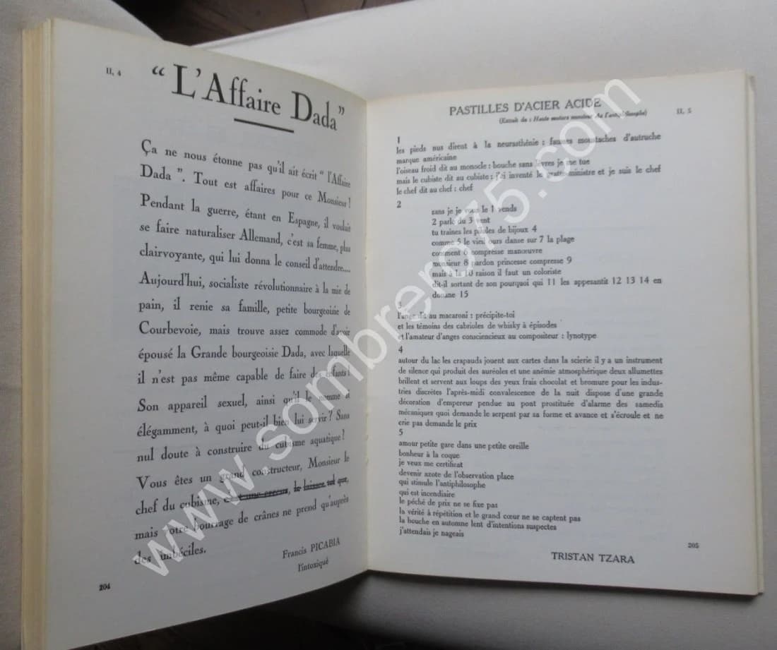 Francis Picabia 391 - 2 Tomes - Image 6