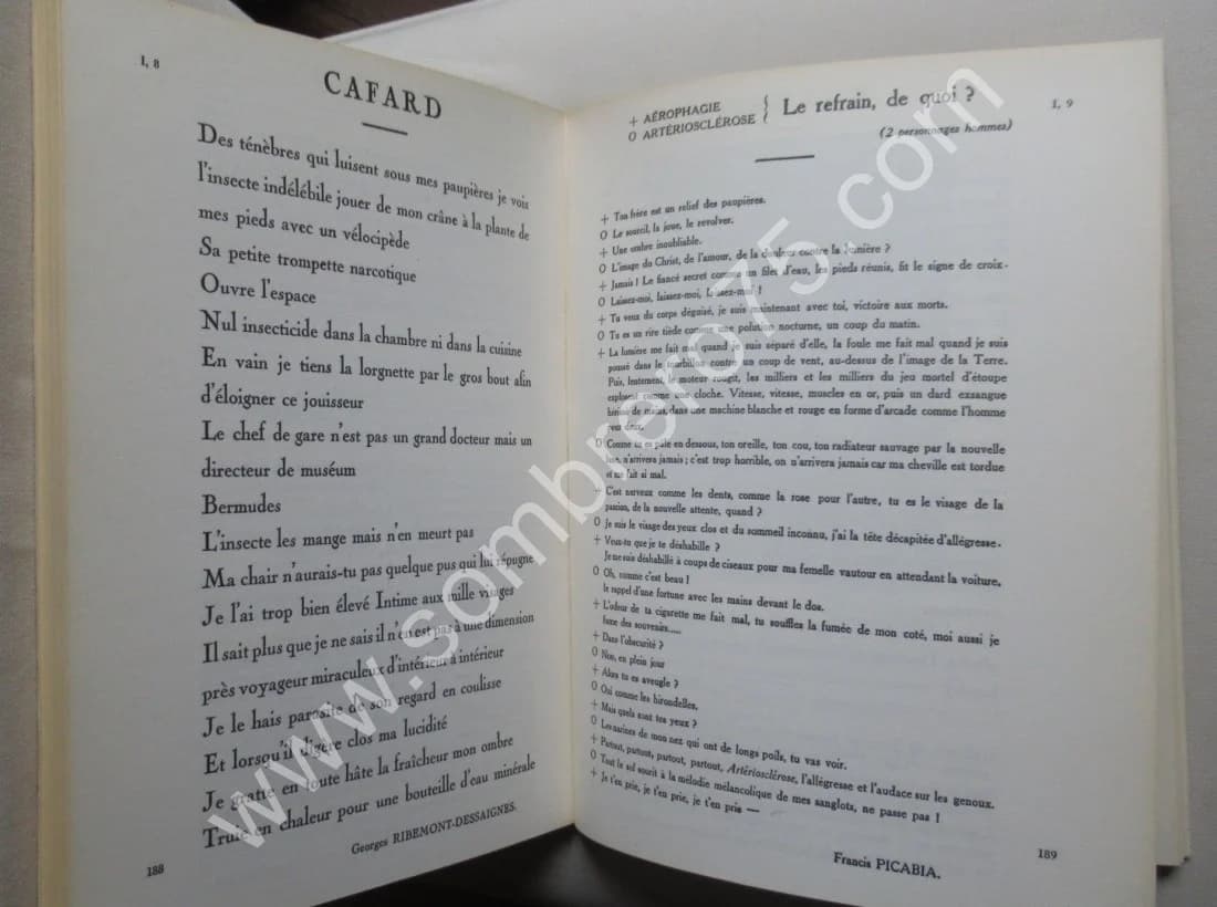 Francis Picabia 391 - 2 Tomes - Image 8