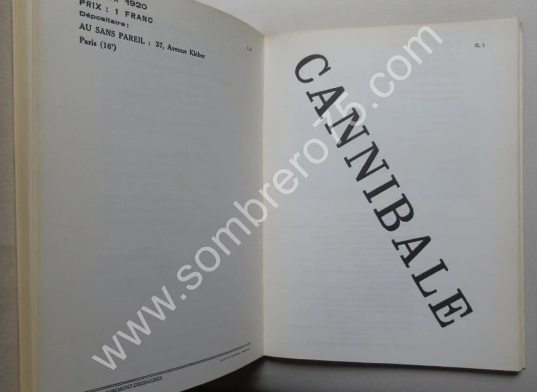 Francis Picabia 391 - 2 Tomes - Image 9