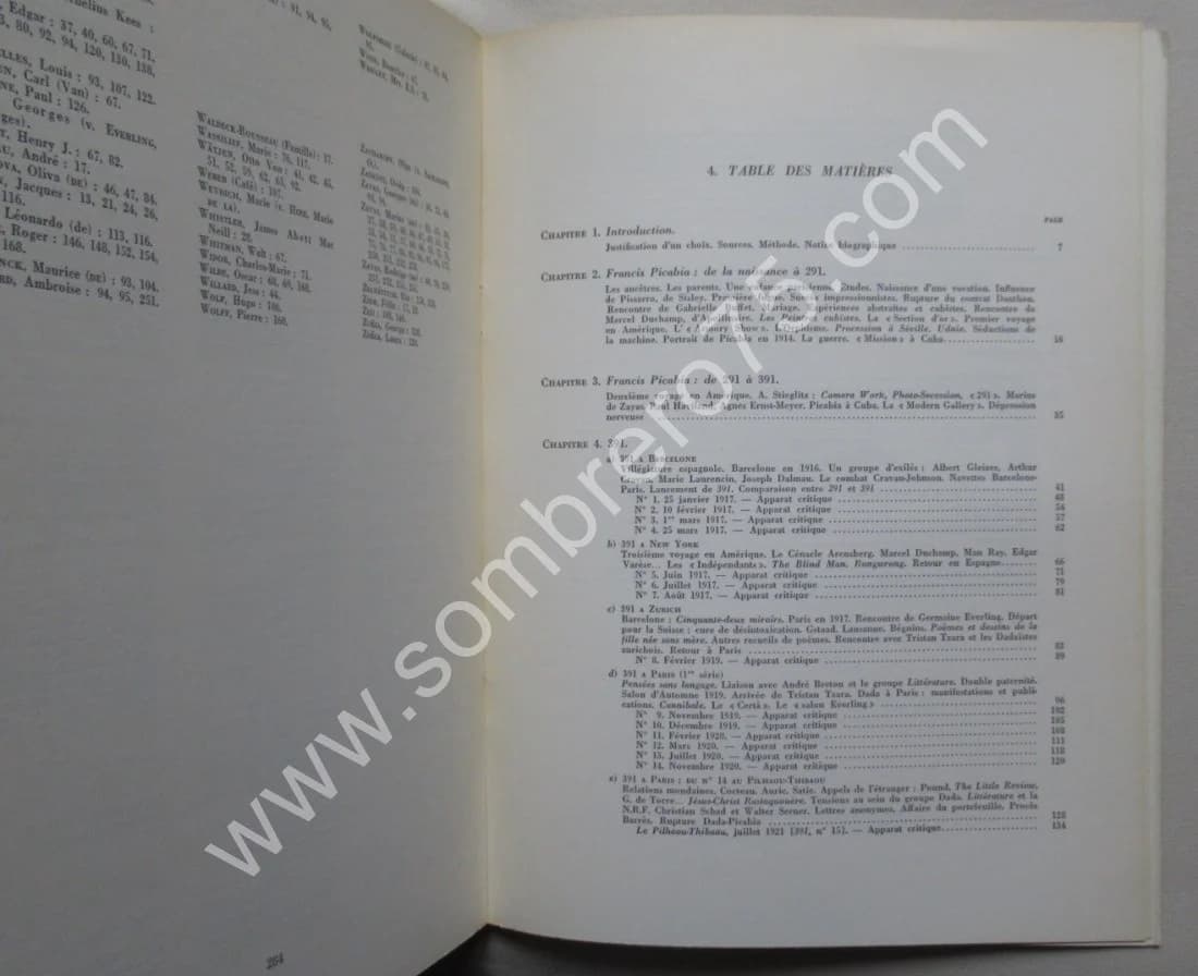 Francis Picabia 391 - 2 Tomes - Image 10