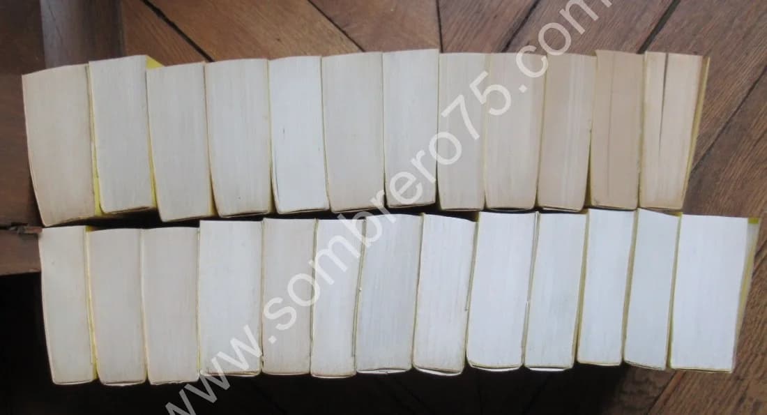 Correspondance Georges SAND 25 Vol - Image 3