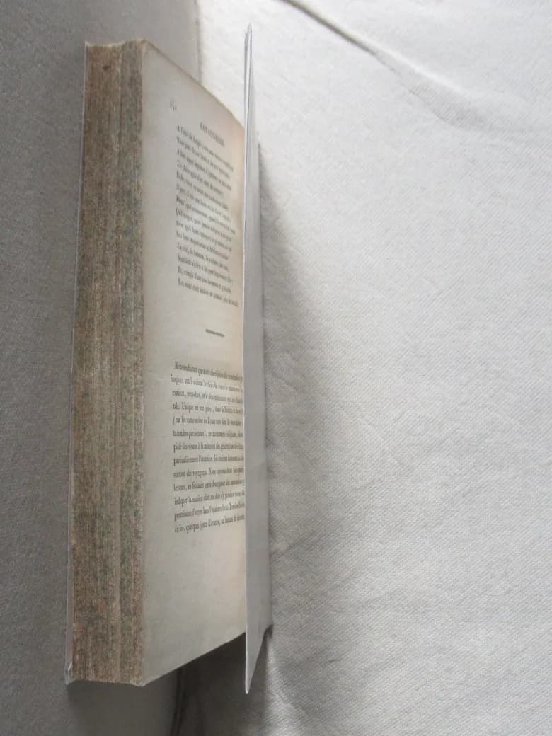 Cimetières Catacombes de Paris. Sépultures Royales St Denis - Image 9