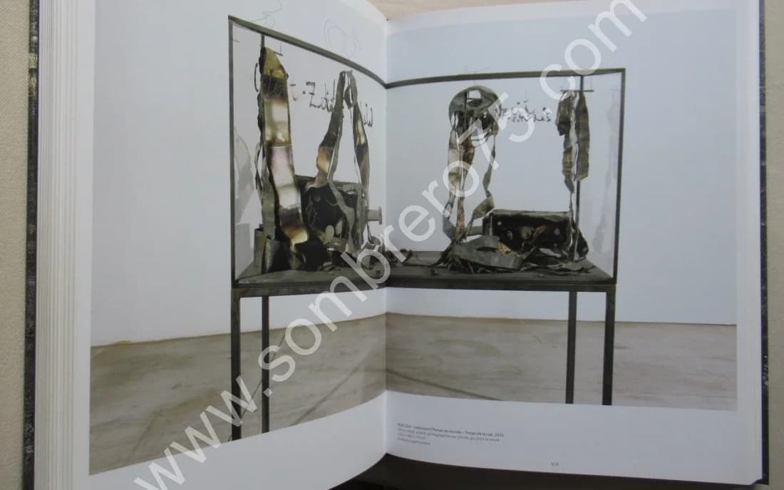 Anselm KIEFER. Rétrospective. G. Pompidou. J M BOUHOURS - Image 3