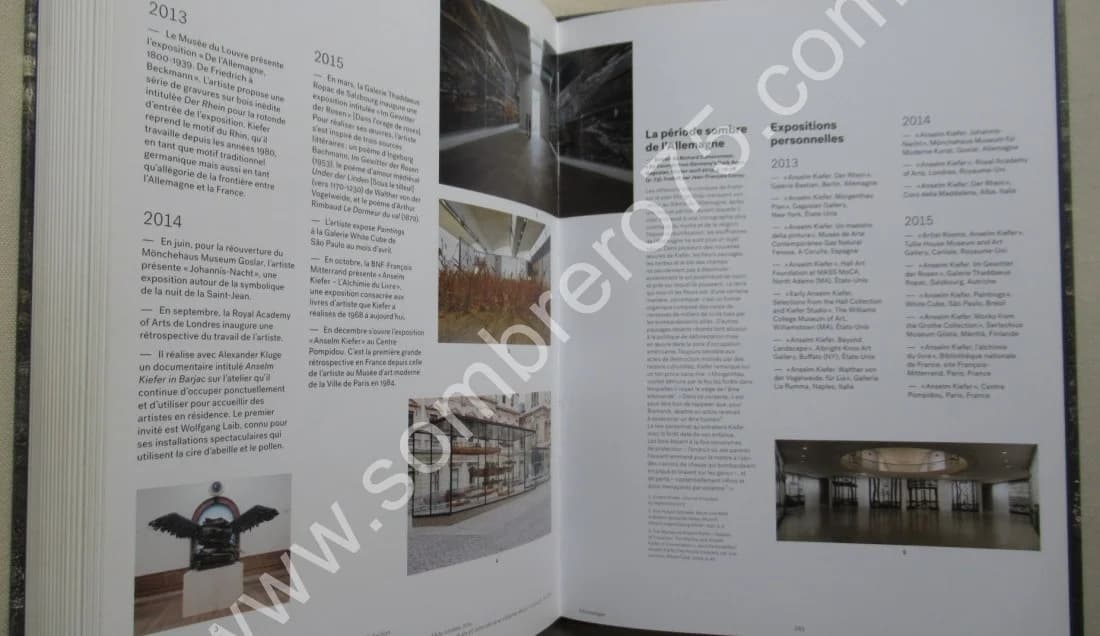 Anselm KIEFER. Rétrospective. G. Pompidou. J M BOUHOURS - Image 10