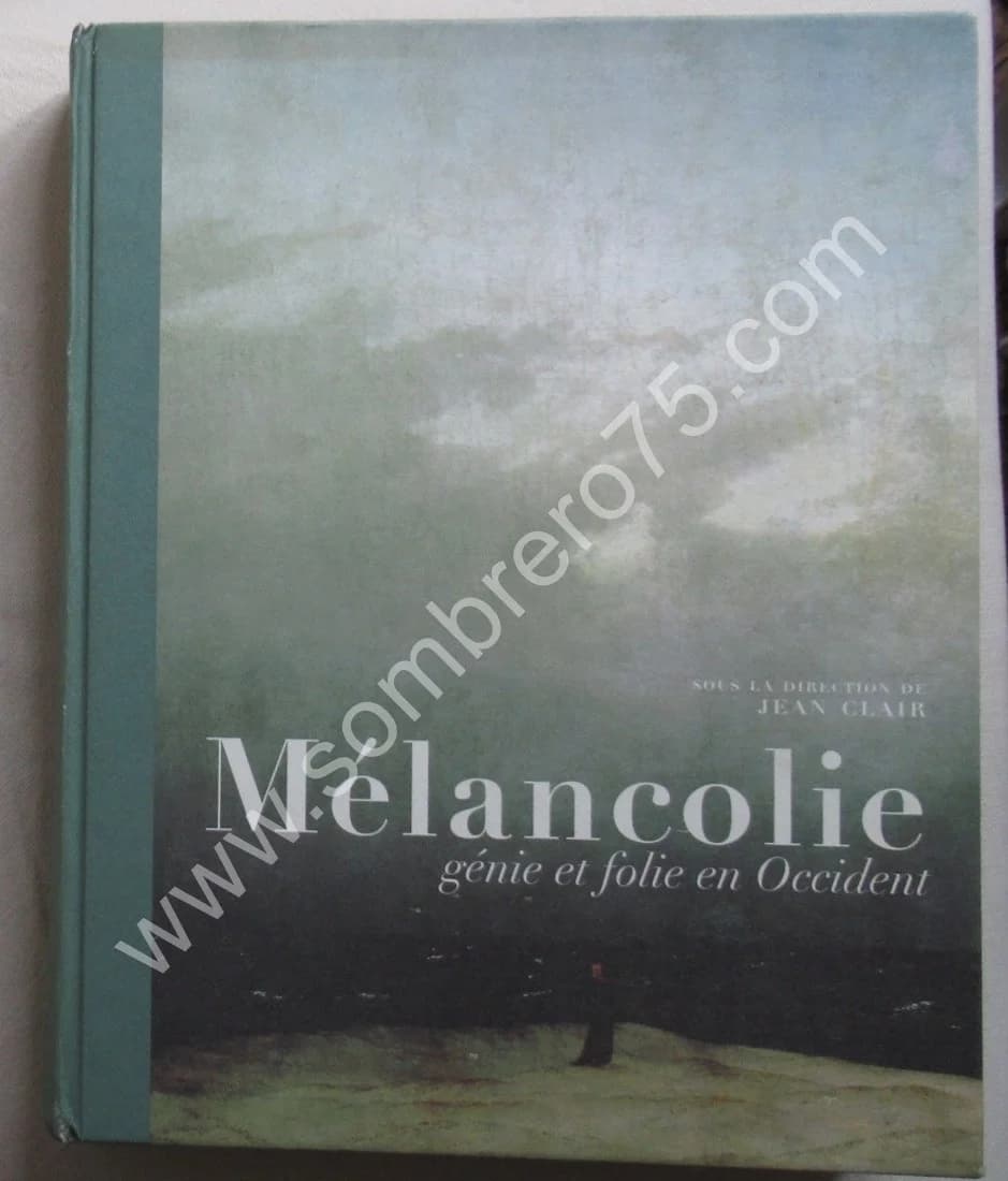 Mélancolie Génie et folie en Occident