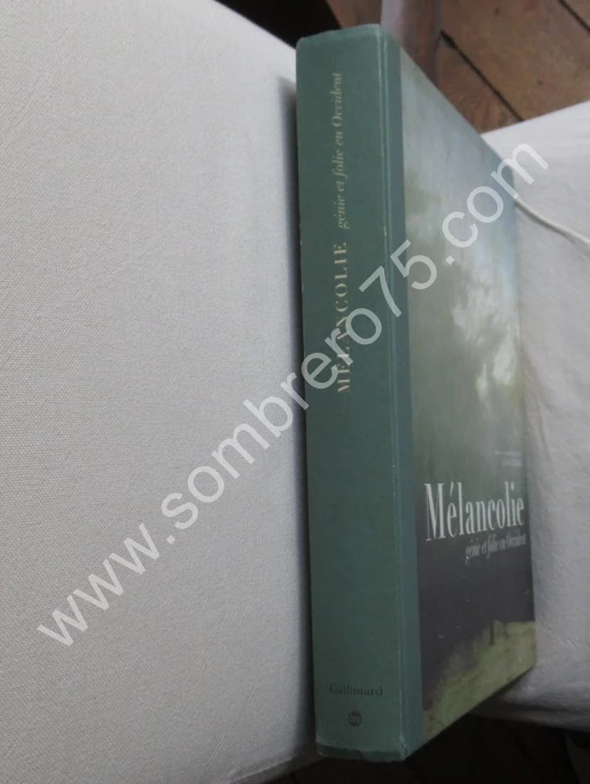 Mélancolie Génie et folie en Occident - Image 2