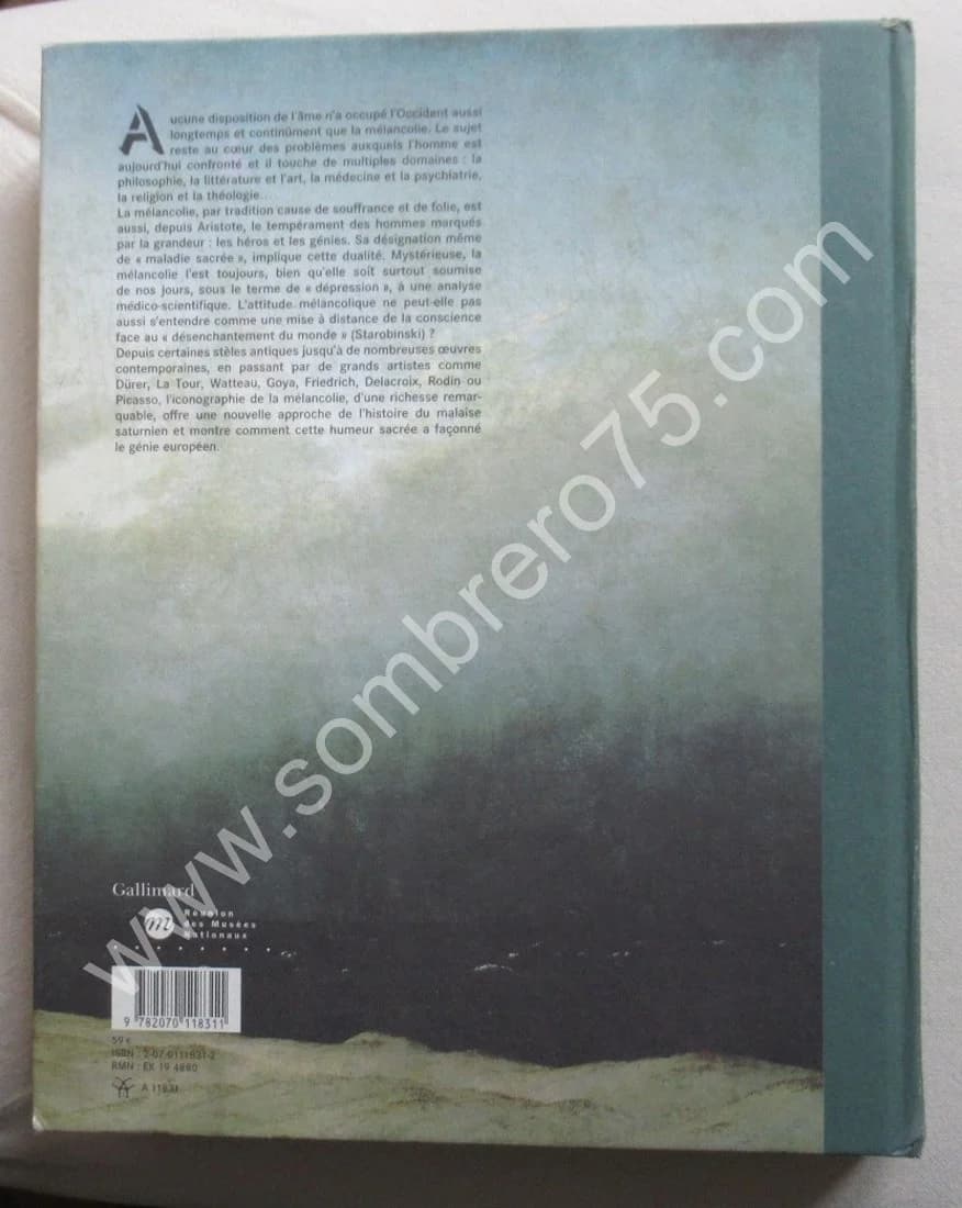 Mélancolie Génie et folie en Occident - Image 11