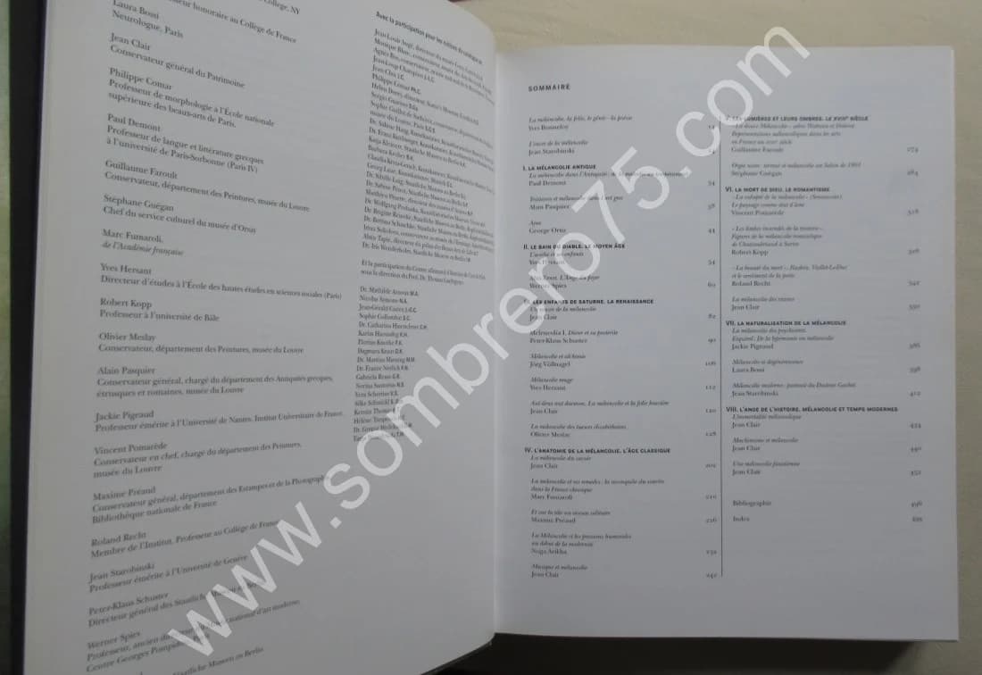 Mélancolie Génie et folie en Occident - Image 3