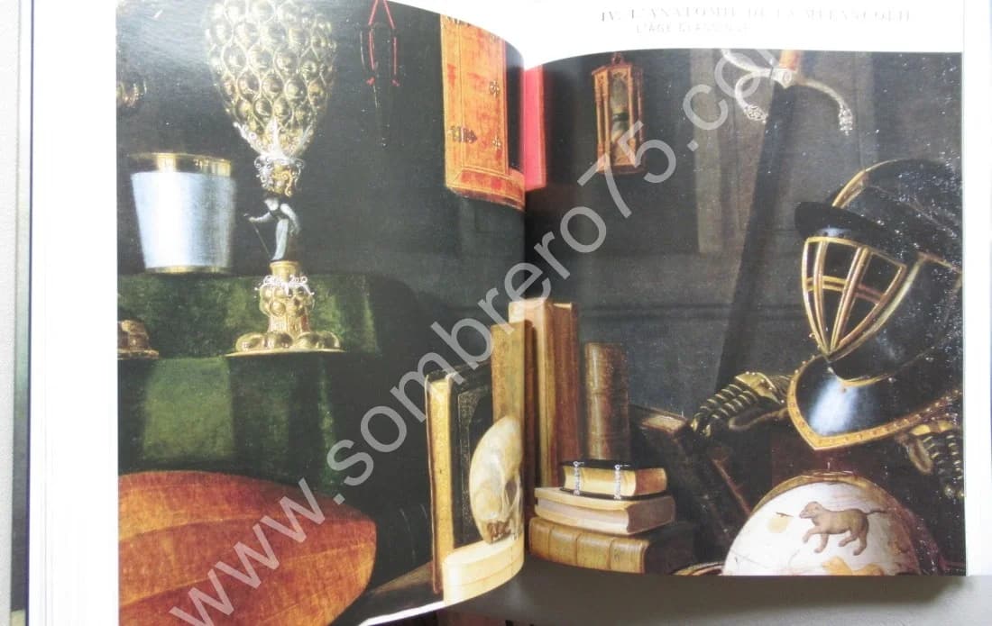 Mélancolie Génie et folie en Occident - Image 4