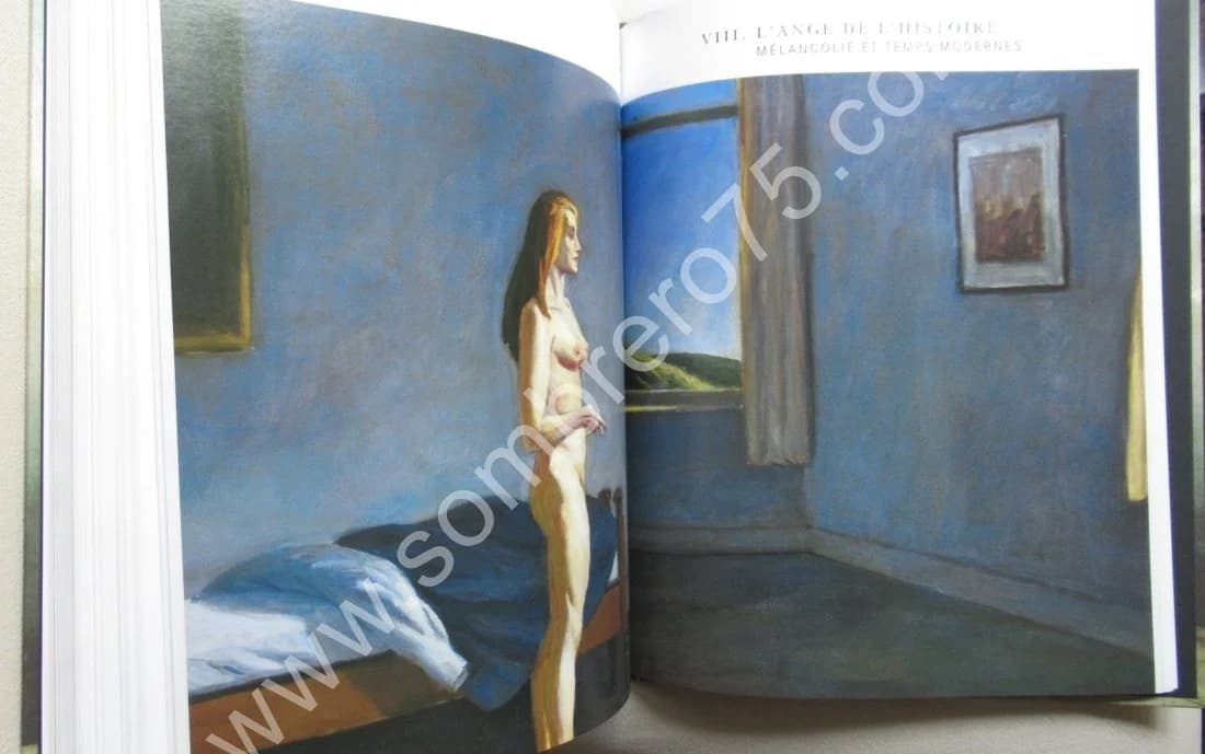 Mélancolie Génie et folie en Occident - Image 7