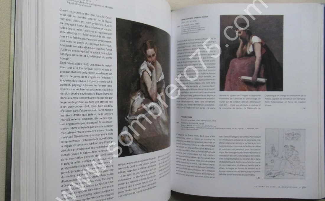 Mélancolie Génie et folie en Occident - Image 8