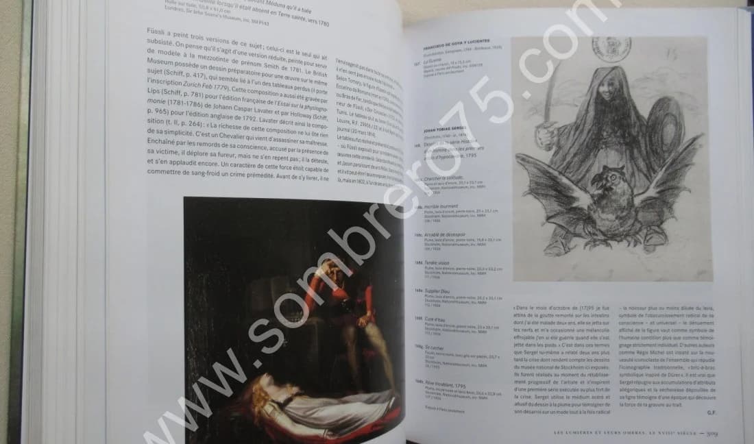 Mélancolie Génie et folie en Occident - Image 9