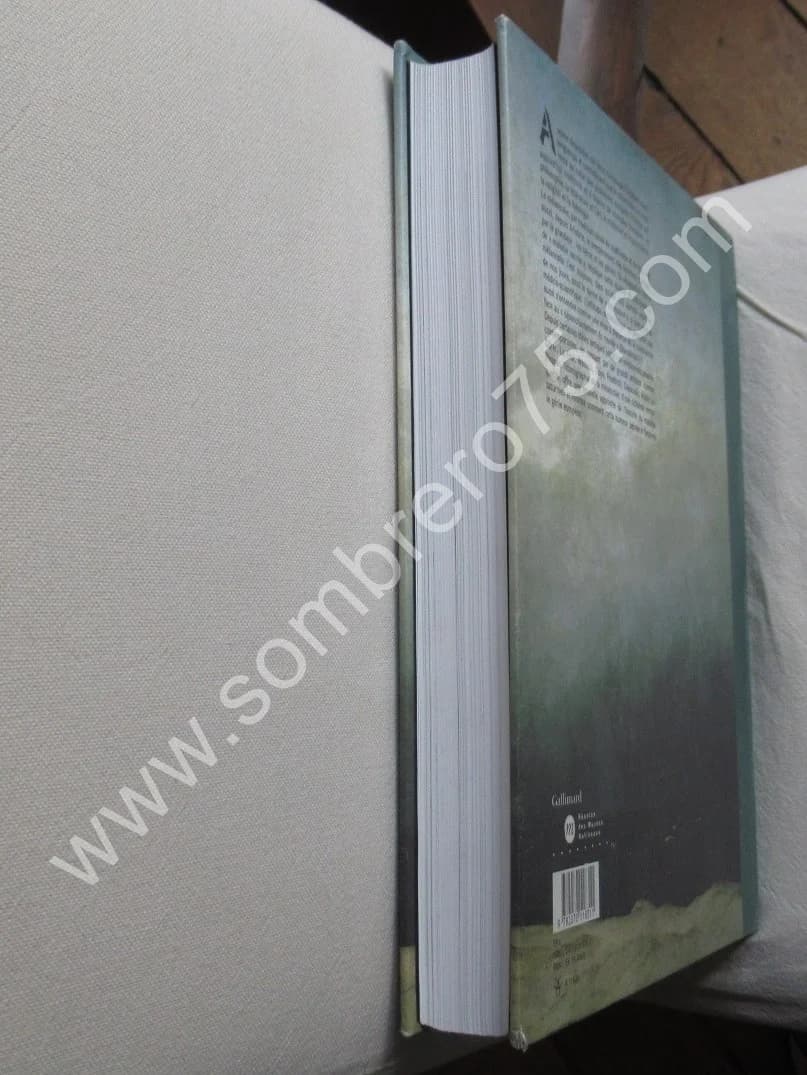 Mélancolie Génie et folie en Occident - Image 10