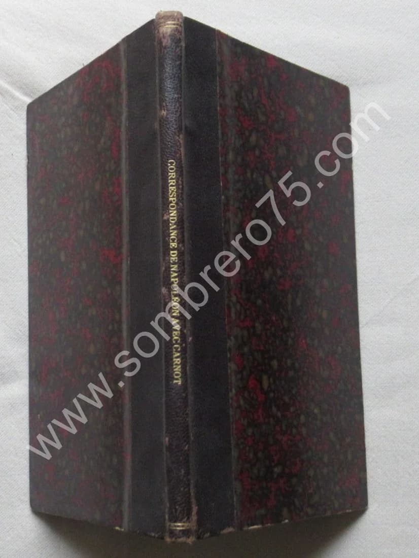 Correspondance de Napoléon Bonaparte avec le Comte Carnot. 1819