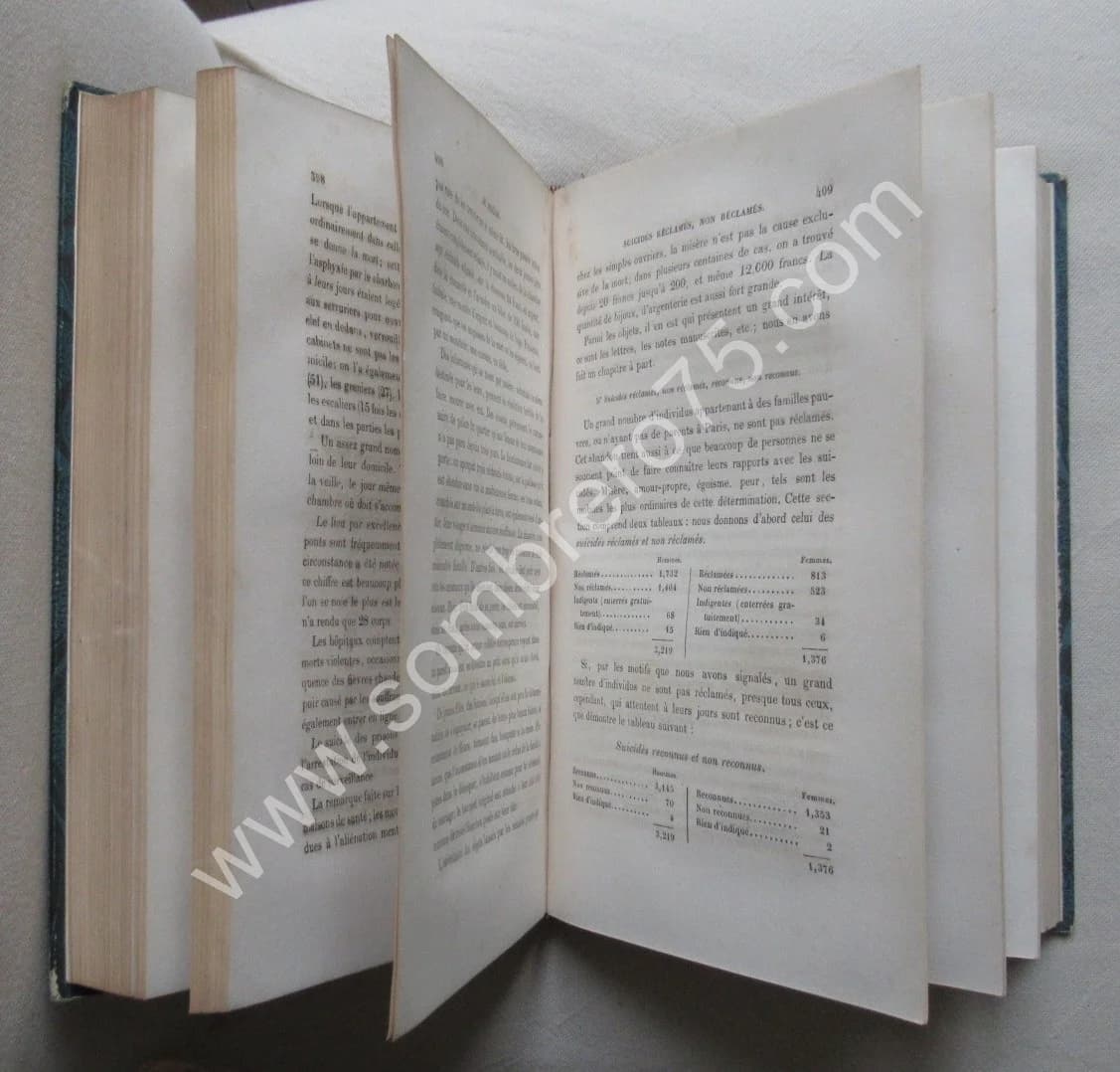 Du Suicide et de la Folie Suicide. A. BRIERRE DE BOISMONT 1856 - Image 5