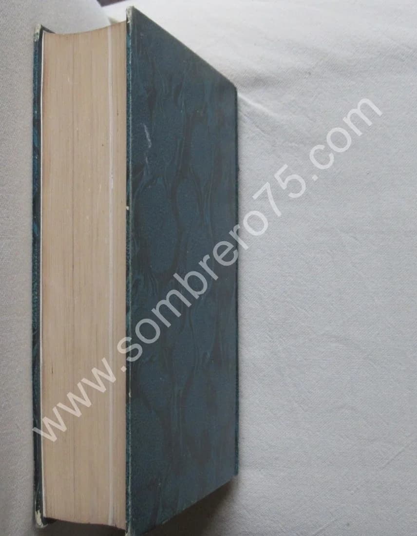 Du Suicide et de la Folie Suicide. A. BRIERRE DE BOISMONT 1856 - Image 9