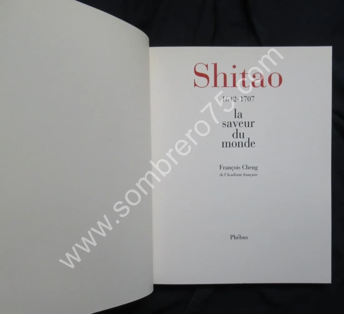 Shitao 1642- 1707. La saveur du monde - Image 2