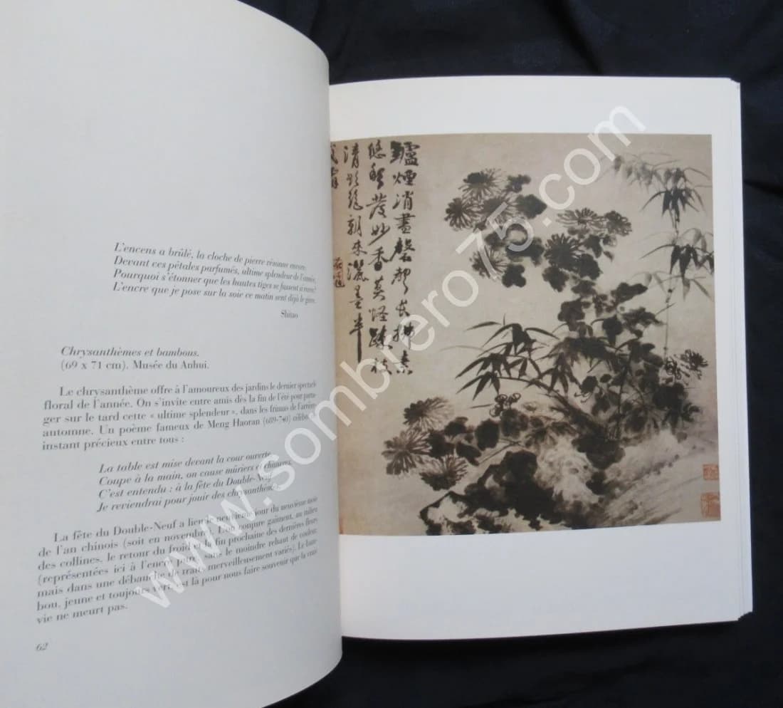 Shitao 1642- 1707. La saveur du monde - Image 3