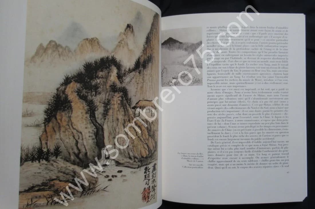 Shitao 1642- 1707. La saveur du monde - Image 4