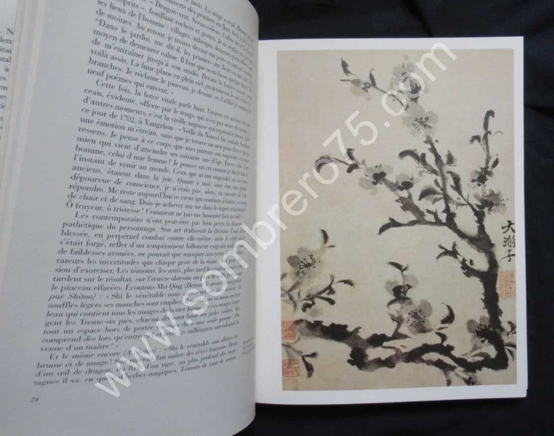 Shitao 1642- 1707. La saveur du monde - Image 5