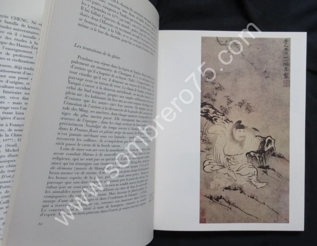 Shitao 1642- 1707. La saveur du monde - Image 6