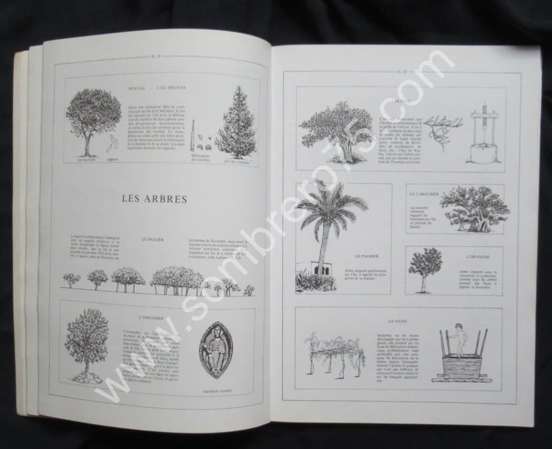 Ibiza Le Palais Paysan - Image 4