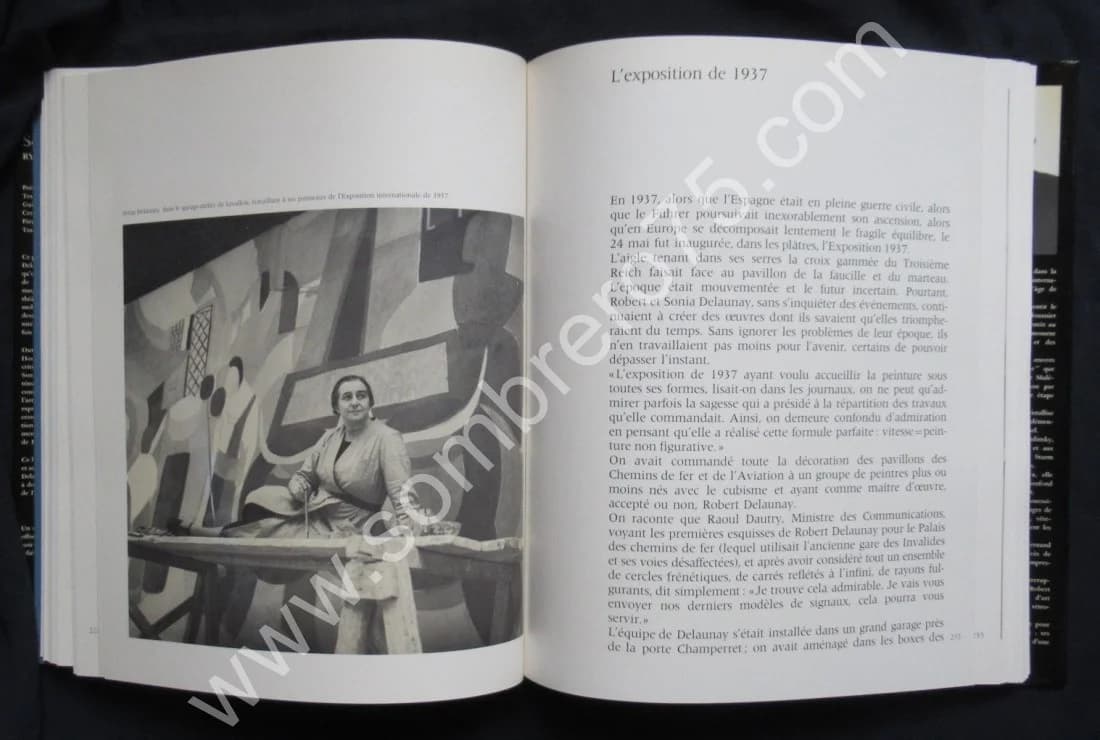 Sonia Delaunay - Rythmes et Couleurs - Image 11