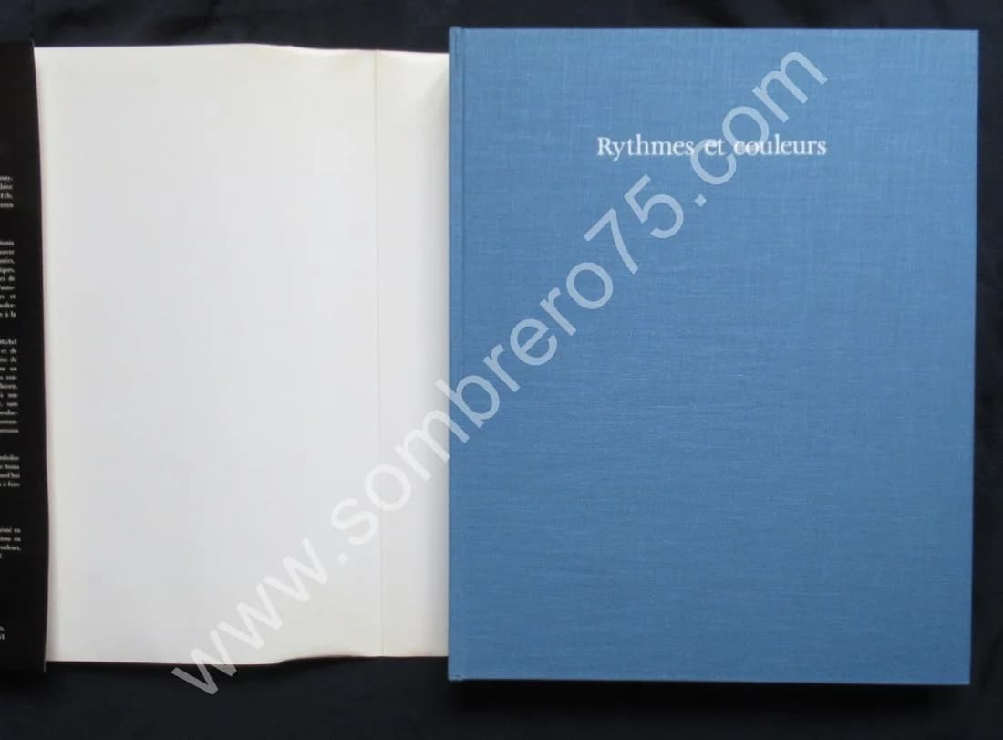 Sonia Delaunay - Rythmes et Couleurs - Image 14