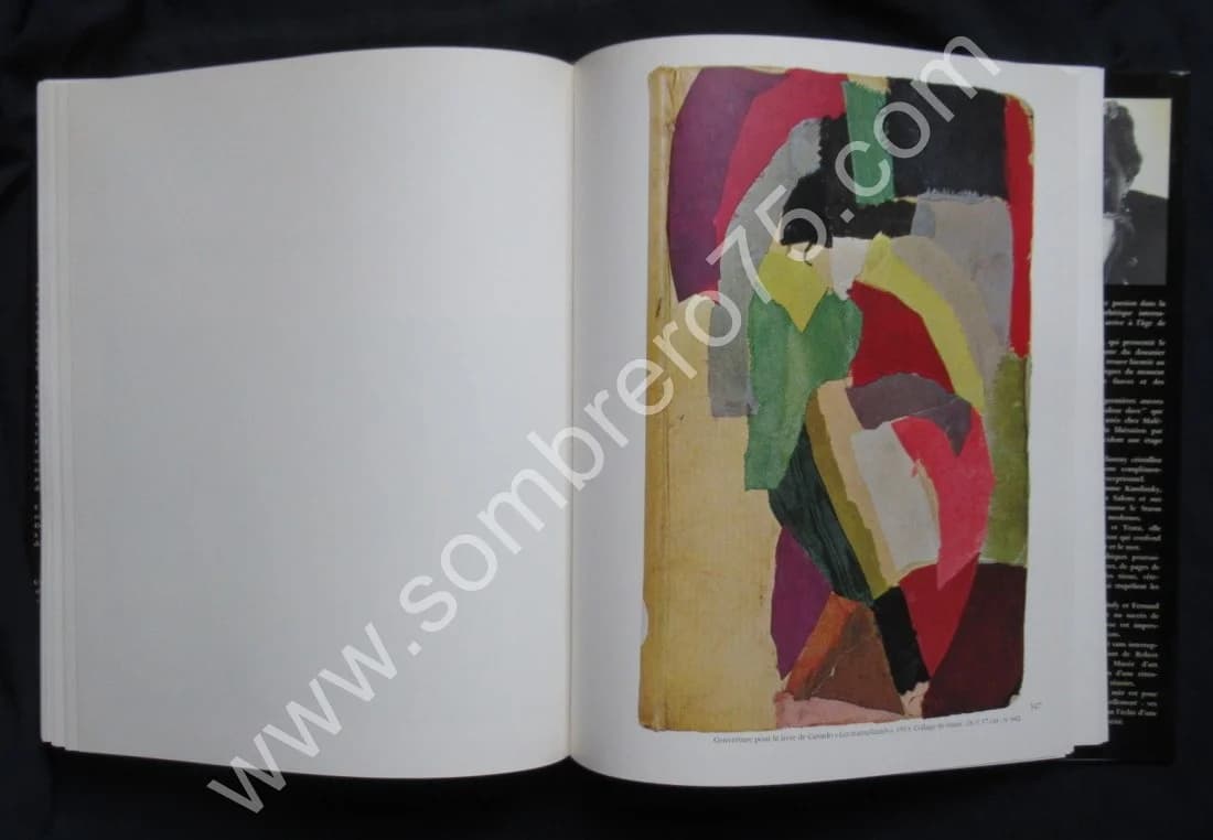 Sonia Delaunay - Rythmes et Couleurs - Image 9